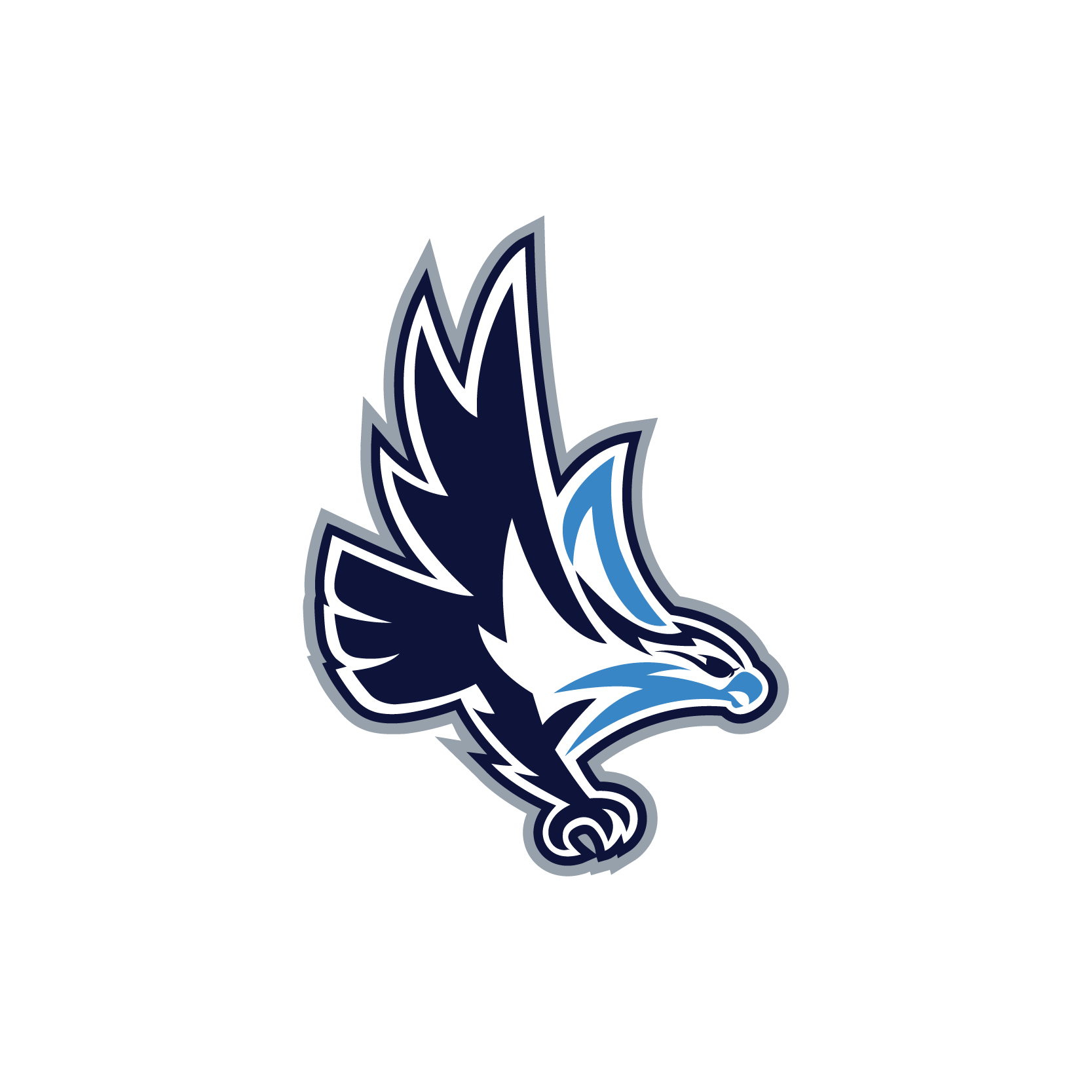 Seahawk Logo