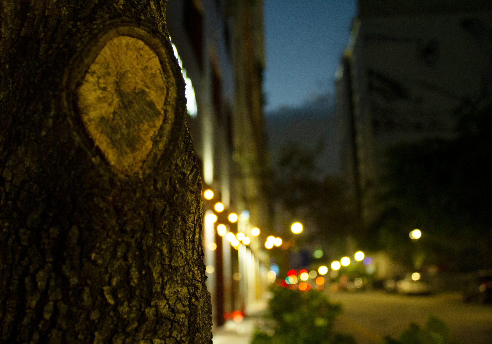 Tree 2